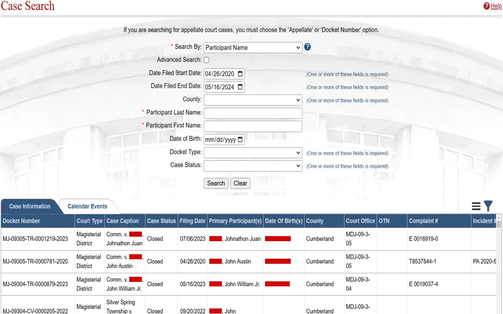 A screenshot of the search tool that allows users to view criminal history information of an individual.